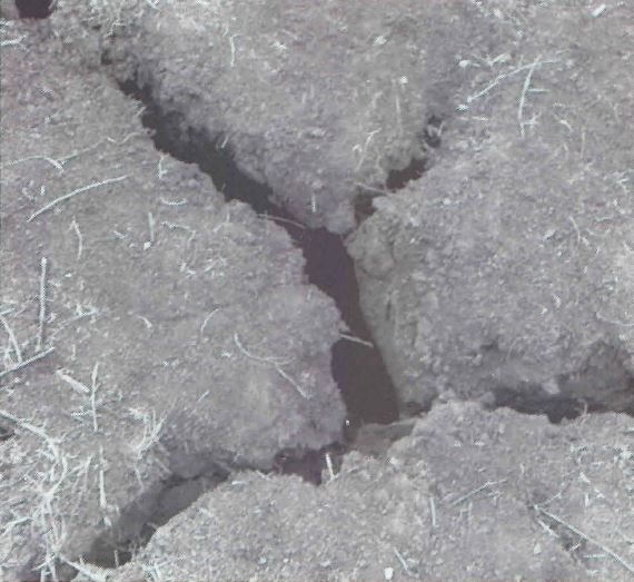 qn_32_11.jpg (55,685 bytes)
